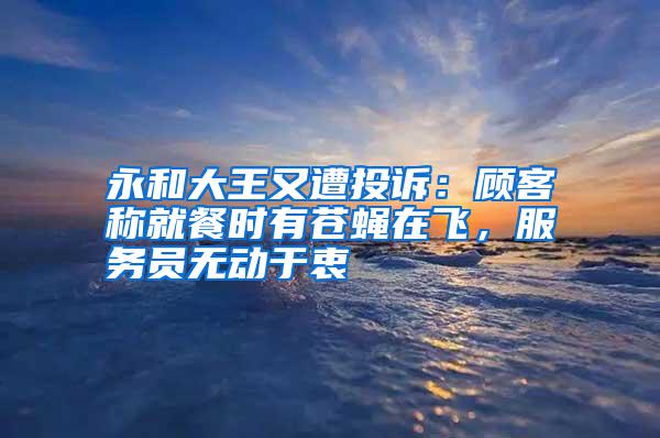 永和大王又遭投訴:顧客稱就餐時有蒼蠅在飛,服務員無動于衷