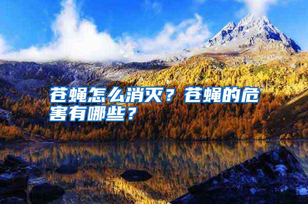 蒼蠅怎么消滅？蒼蠅的危害有哪些？