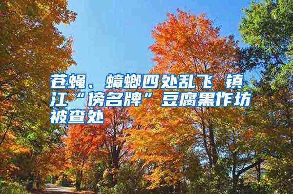 蒼蠅、蟑螂四處亂飛 鎮江“傍名牌”豆腐黑作坊被查處