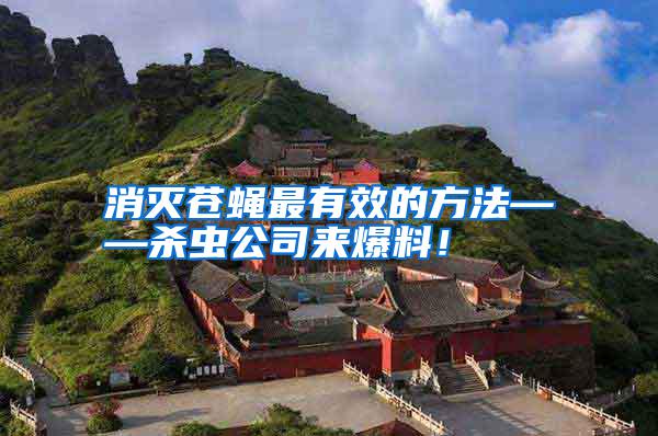 消滅蒼蠅最有效的方法——?dú)⑾x公司來爆料!