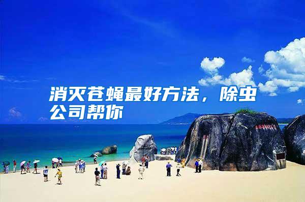 消滅蒼蠅最好方法,除蟲(chóng)公司幫你