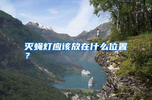滅蠅燈應(yīng)該放在什么位置?