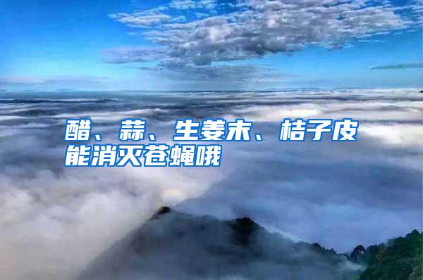 醋、蒜、生姜末、桔子皮能消滅蒼蠅哦