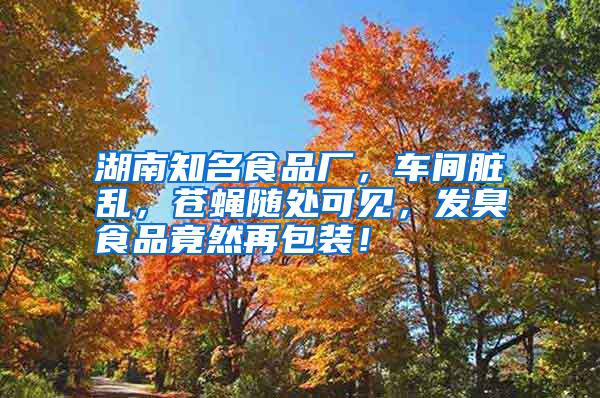 湖南知名食品廠，車間臟亂，蒼蠅隨處可見，發(fā)臭食品竟然再包裝！
