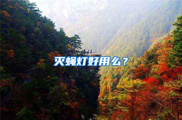 滅蠅燈好用么？