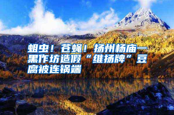 蛆蟲!蒼蠅!揚州楊廟一黑作坊造假“維揚牌”豆腐被連鍋端