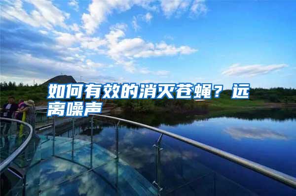 如何有效的消滅蒼蠅？遠離噪聲