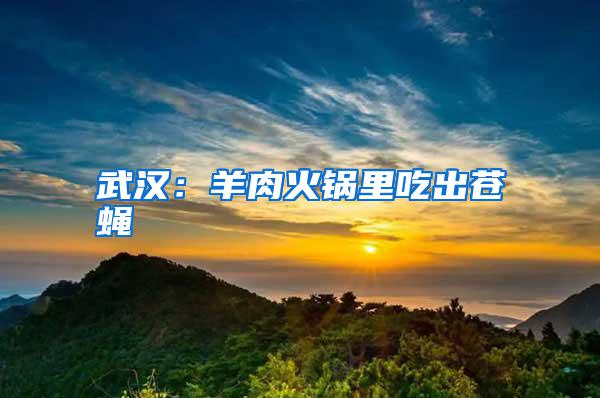 武漢:羊肉火鍋里吃出蒼蠅