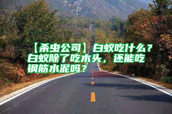 【殺蟲公司】白蟻吃什么？白蟻除了吃木頭，還能吃鋼筋水泥嗎？
