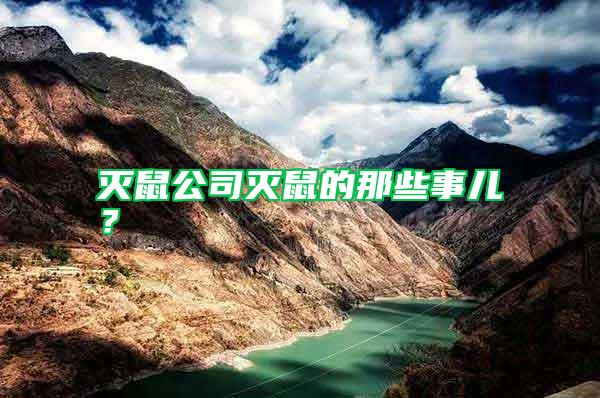 滅鼠公司滅鼠的那些事兒?