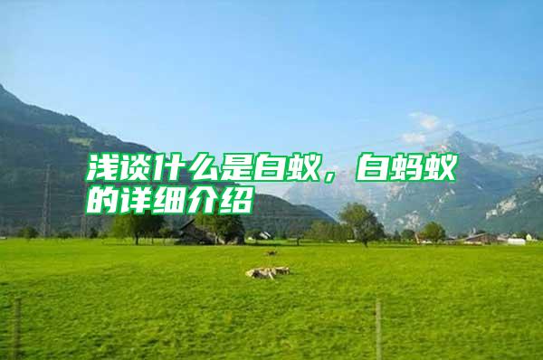 淺談什么是白蟻,白螞蟻的詳細介紹