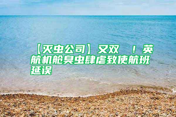 【滅蟲(chóng)公司】又雙叒叕！英航機(jī)艙臭蟲(chóng)肆虐致使航班延誤