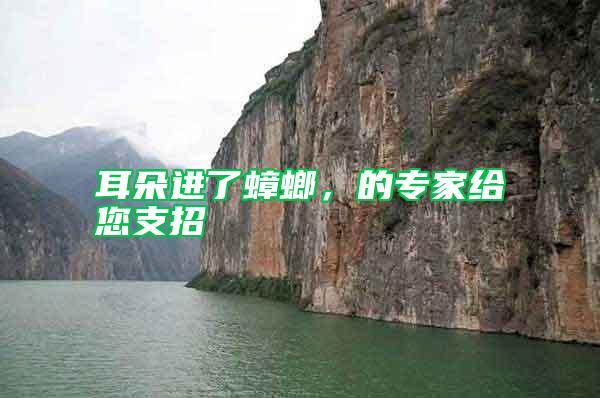 耳朵進了蟑螂,的專家給您支招