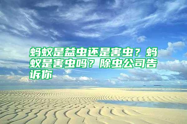 螞蟻是益蟲還是害蟲？螞蟻是害蟲嗎？除蟲公司告訴你