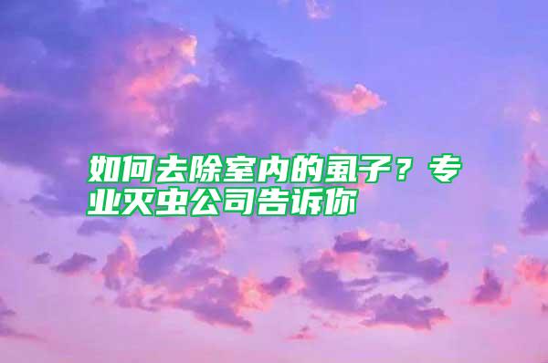 如何去除室內(nèi)的虱子?專業(yè)滅蟲公司告訴你