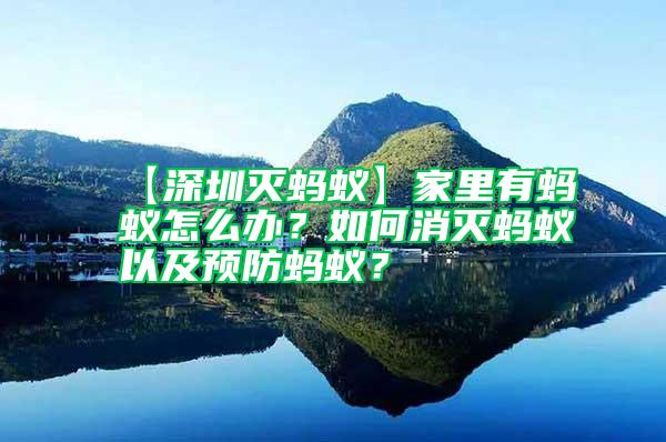 【深圳滅螞蟻】家里有螞蟻怎么辦？如何消滅螞蟻以及預防螞蟻？