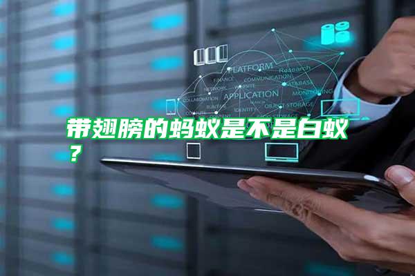 帶翅膀的螞蟻是不是白蟻?