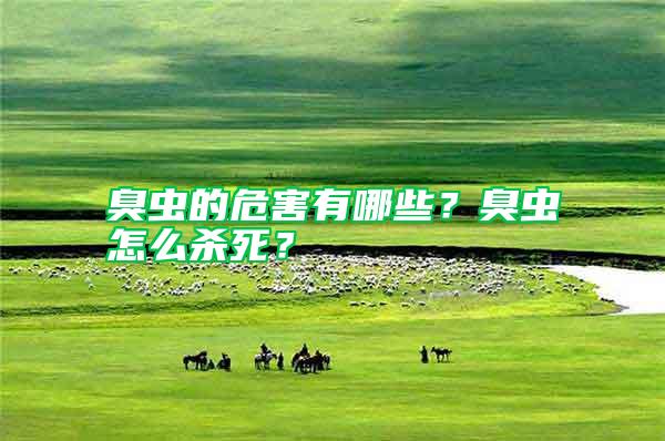 臭蟲的危害有哪些?臭蟲怎么殺死?