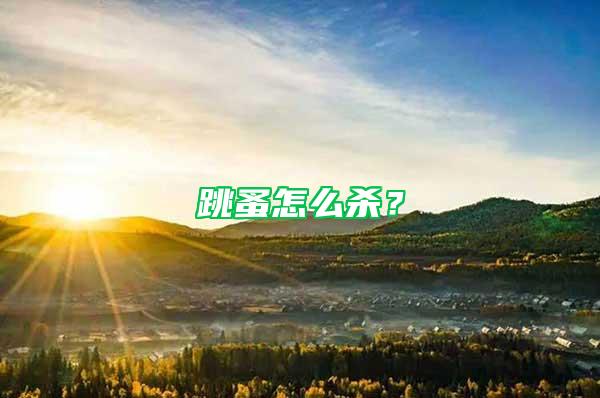 跳蚤怎么殺？