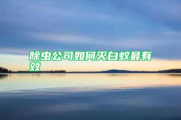 除蟲(chóng)公司如何滅白蟻?zhàn)钣行?/></p>
             <p style=