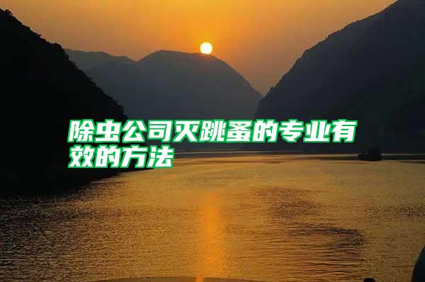 除蟲公司滅跳蚤的專業有效的方法