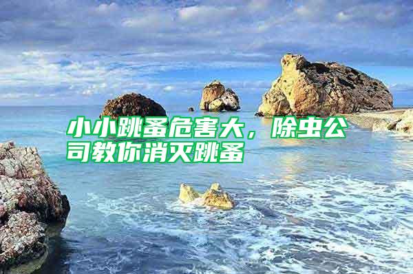 小小跳蚤危害大，除蟲公司教你消滅跳蚤