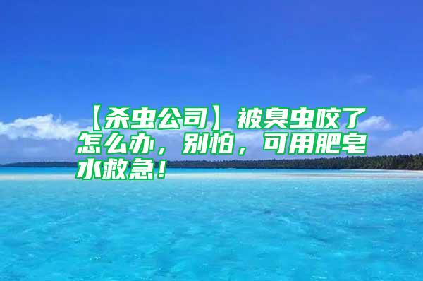 【殺蟲公司】被臭蟲咬了怎么辦，別怕，可用肥皂水救急！