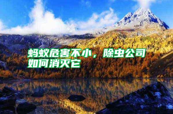 螞蟻危害不小,除蟲(chóng)公司如何消滅它