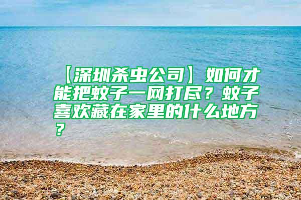【深圳殺蟲公司】如何才能把蚊子一網打盡？蚊子喜歡藏在家里的什么地方？
