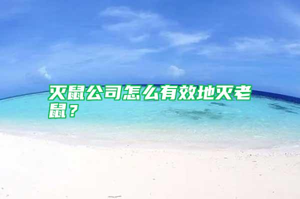 滅鼠公司怎么有效地滅老鼠？