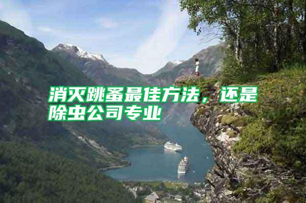 消滅跳蚤最佳方法，還是除蟲公司專業