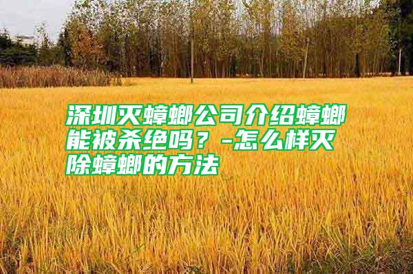 深圳滅蟑螂公司介紹蟑螂能被殺絕嗎？-怎么樣滅除蟑螂的方法