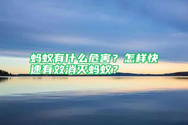 螞蟻有什么危害？怎樣快速有效消滅螞蟻？