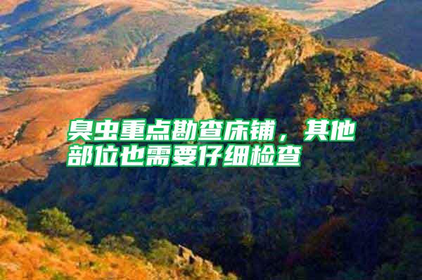 臭蟲重點勘查床鋪,其他部位也需要仔細檢查