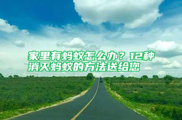 家里有螞蟻怎么辦?12種消滅螞蟻的方法送給您