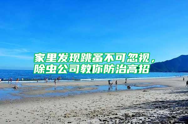 家里發(fā)現(xiàn)跳蚤不可忽視，除蟲公司教你防治高招