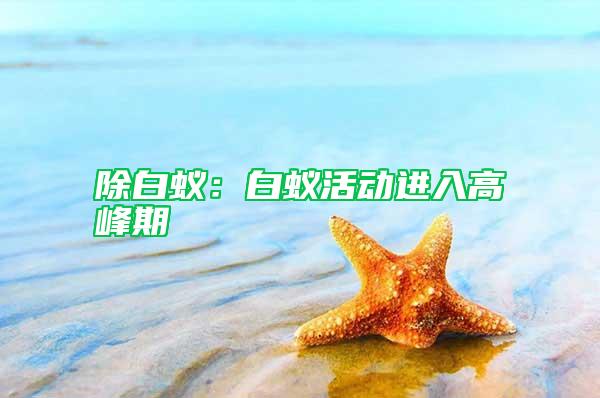 除白蟻:白蟻活動進入高峰期