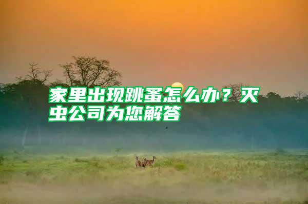 家里出現(xiàn)跳蚤怎么辦？滅蟲公司為您解答