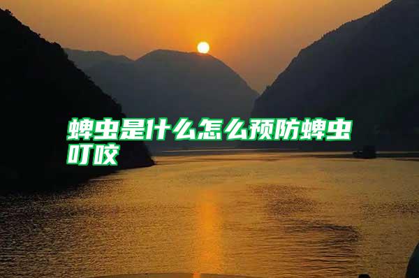 蜱蟲(chóng)是什么怎么預(yù)防蜱蟲(chóng)叮咬