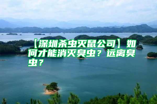 【深圳殺蟲滅鼠公司】如何才能消滅臭蟲？遠(yuǎn)離臭蟲？