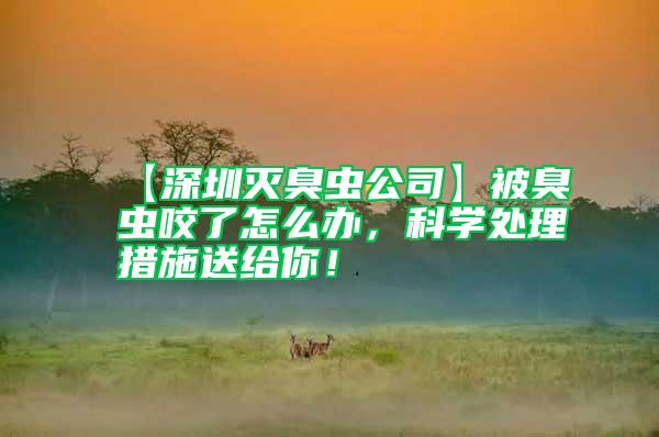 【深圳滅臭蟲公司】被臭蟲咬了怎么辦,科學處理措施送給你!