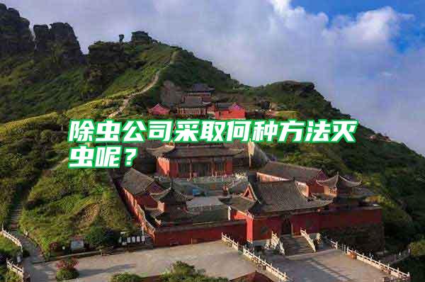 除蟲公司采取何種方法滅蟲呢?