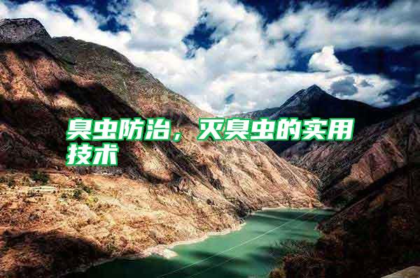 臭蟲防治,滅臭蟲的實(shí)用技術(shù)