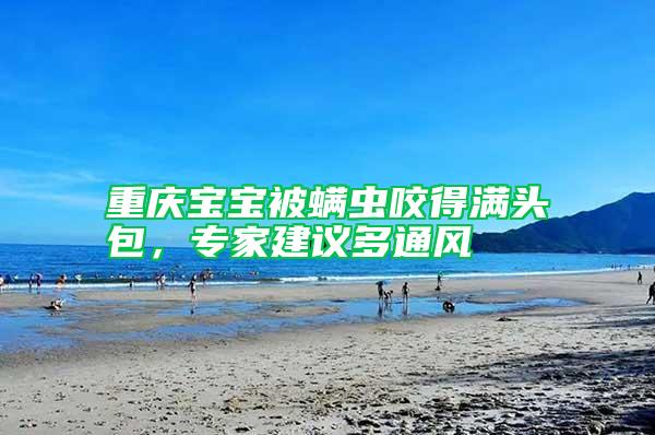 重慶寶寶被螨蟲咬得滿頭包,專家建議多通風