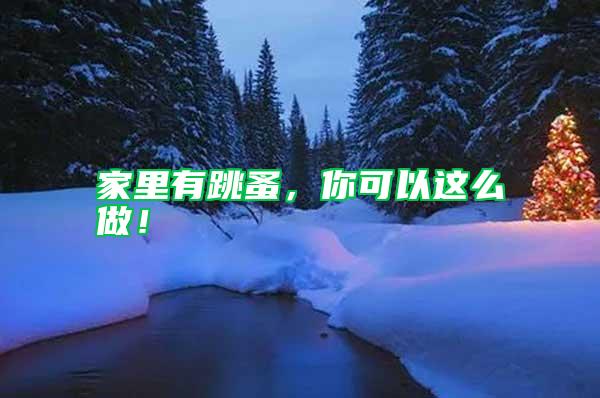 家里有跳蚤，你可以這么做！