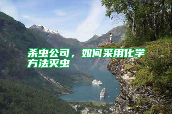 殺蟲公司，如何采用化學方法滅蟲