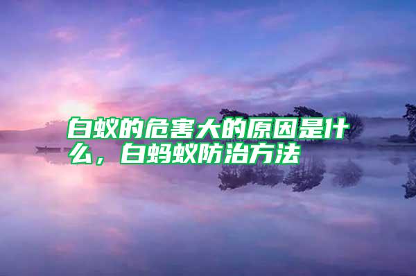 白蟻的危害大的原因是什么,白螞蟻防治方法