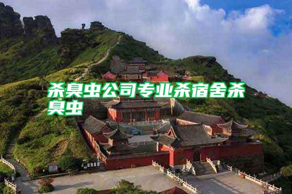 殺臭蟲公司專業殺宿舍殺臭蟲