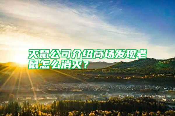 滅鼠公司介紹商場發現老鼠怎么消滅?