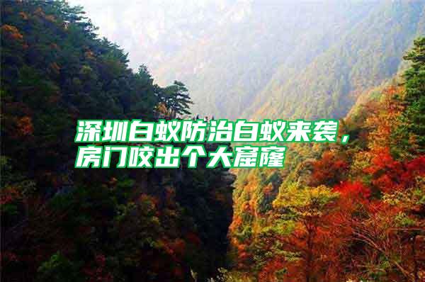 深圳白蟻防治白蟻來襲，房門咬出個大窟窿